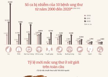 10 bệnh ung thư phổ biến ở nữ giới Việt Nam