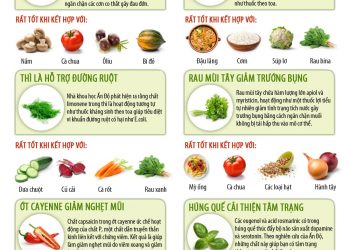 10 loại thảo mộc chữa bệnh