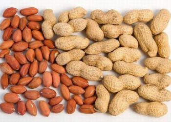 12 Công Dụng Của Lạc Thật Tuyệt Vời