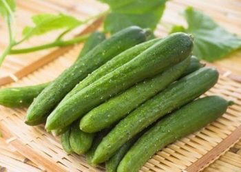 13 Công Dụng Và Giá Trị Dinh Dưỡng Của Quả Dưa Chuột