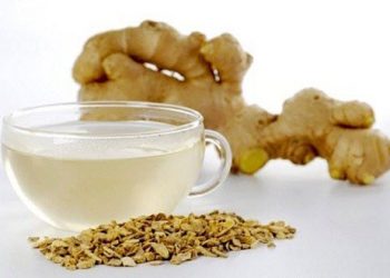 16 Công Dụng Của Củ Gừng Với Sức Khỏe