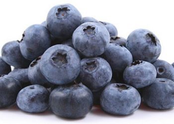 Quả dâu xanh – dinh dưỡng hảo hạng cho não