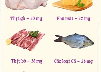 4 nhóm chất quan trọng cho trẻ 1 – 3 tuổi