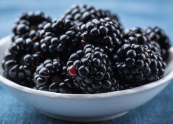 Quả Marionberries