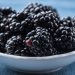 Quả Marionberries