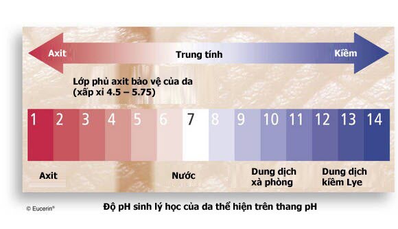 6 Bí Quyết Ăn Uống Để Có Vóc Dáng Đẹp