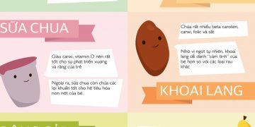 6 thực phẩm không thể thiếu cho trẻ ăn dặm