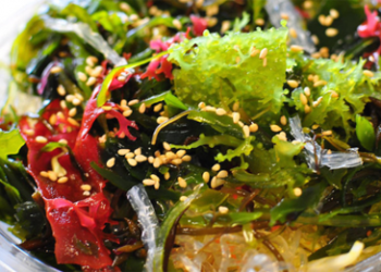 Bảy lợi ích của rong nâu với sức khỏe