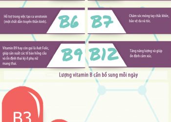 8 Vitamin B phức hợp