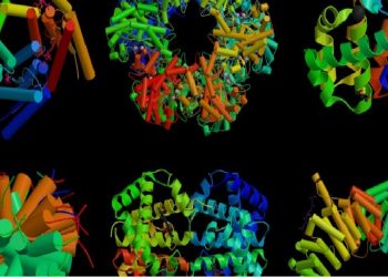 9 Axit Amin Thiết Yếu Đối Với Con Người