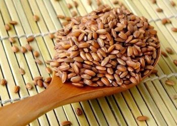 9 Lợi Ích Sức Khỏe Của Gạo Nâu (Gạo Lứt)