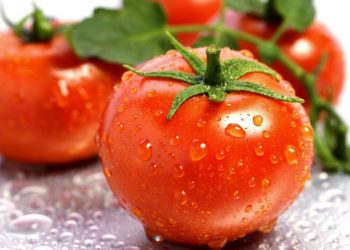 9 Thực Phẩm Tự Nhiên Giúp Chống Nắng