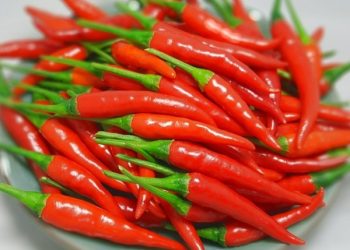Ăn ớt tươi thường xuyên giúp bạn sống thọ