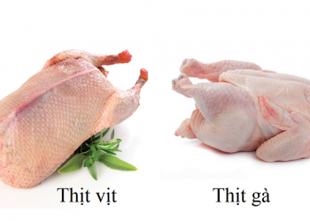 Ăn thịt gà hay thịt vịt tốt hơn?