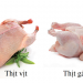 Ăn thịt gà hay thịt vịt tốt hơn?
