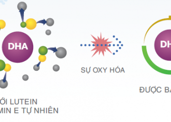 Ba điều mẹ có thể chưa biết về dinh dưỡng phát triển não bộ của trẻ