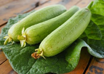 Bí quyết giúp vòng một phái nữ căng tròn và làn da đẹp