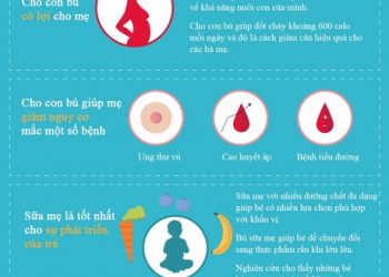 Bú sữa mẹ và sữa công thức