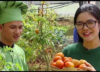 Cà chua sạch chứa những loại dinh dưỡng nào?