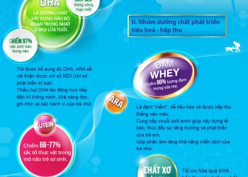 Các dưỡng chất giúp trẻ thông minh