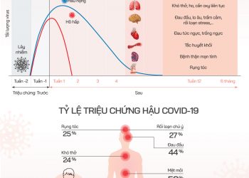 Các giai đoạn nhiễm và Triệu chứng hậu COVID-19