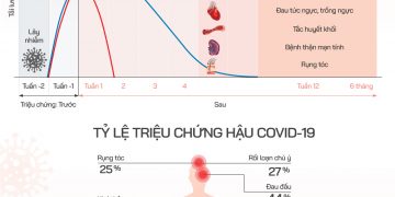 Các giai đoạn nhiễm và Triệu chứng hậu COVID-19