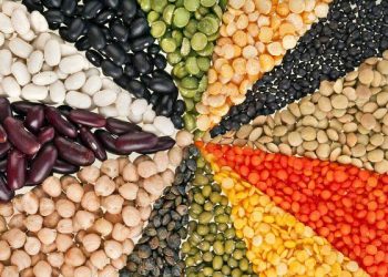 Các loại axit amin cần thiết trong thực phẩm có nguồn gốc từ thực vật