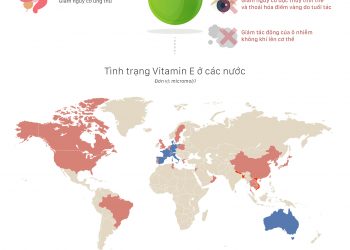 Cách bổ sung vitamin E giúp tăng chiều cao