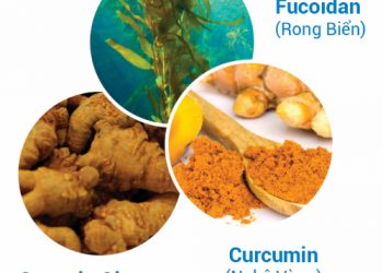 Cách dùng thảo dược chống suy kiệt sau hóa, xạ trị ung thư