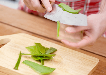 Cách nấu chè nha đam hạt sen