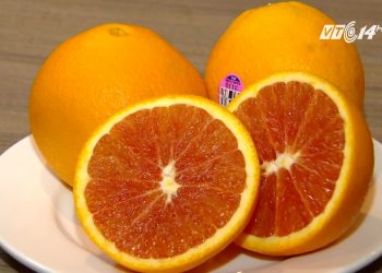 Cam cara ruột đỏ: Quả ngon giàu dinh dưỡng