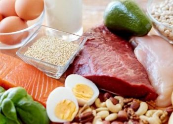 Cần phối hợp cân đối đạm động vật và đạm thực vật trong bữa ăn hàng ngày