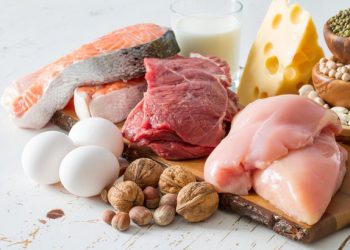 Chất đạm nguồn tăng trưởng và phục hồi cơ thể