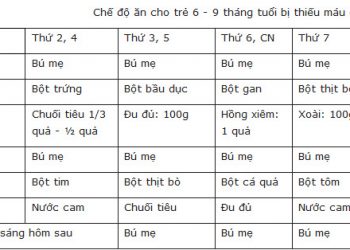 Chế độ ăn cho trẻ bị thiếu máu