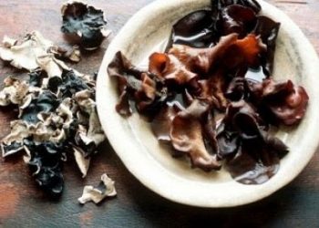 Chè Mộc Nhĩ Chống Ung Thư, Loãng Xương