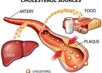 Cholesterol là gì?