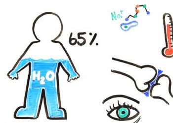 Cơ thể nguy hại thế nào khi ngừng uống nước