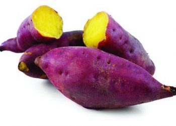 Công Dụng Tuyệt Vời Của Khoai Lang – Vì Sao Nên Ăn Khoai Lang Mỗi Ngày