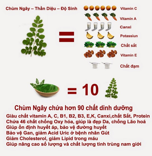 Công Dụng Và Các Món Ăn Ngon Từ Chùm Ngây