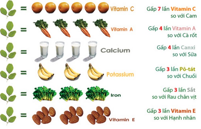 Công Dụng Và Các Món Ăn Ngon Từ Chùm Ngây