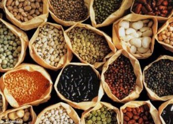 Công Dụng Và Giá Trị Dinh Dưỡng Của Các Loại Đậu Đỗ