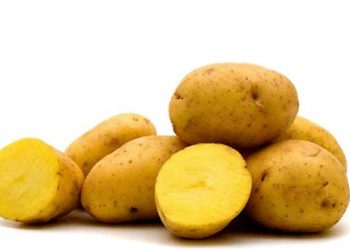 Công Dụng Và Giá Trị Dinh Dưỡng Của Khoai Tây