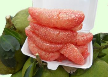 Công Dụng Và Giá Trị Dinh Dưỡng Của Quả Bưởi