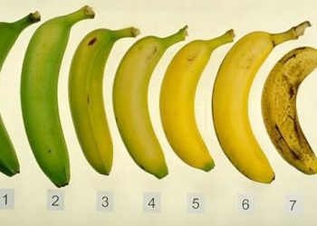 Công Dụng Và Giá Trị Dinh Dưỡng Của Quả Chuối