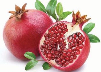 Công Dụng Và Giá Trị Dinh Dưỡng Của Quả Lựu