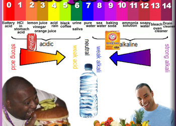 Danh sách thực phẩm có tính axit, kiềm