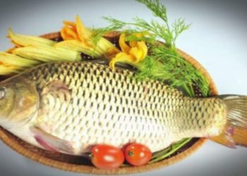 Dinh dưỡng cho bà mẹ đang cho con bú