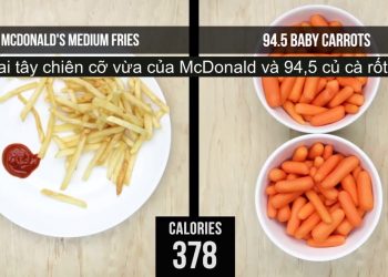 Đo lượng calo giữa các loại thức ăn để tính khẩu phần hợp lý