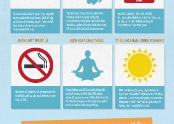 Duy trì nồng độ TESTOSTERONE ổn định