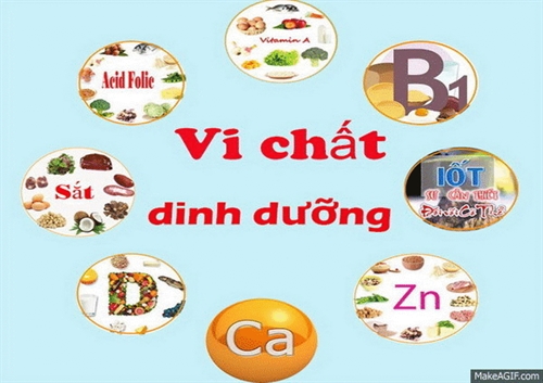 Hỏi đáp về thiếu vi chất và bổ sung vi chất dinh dưỡng vào bột mì